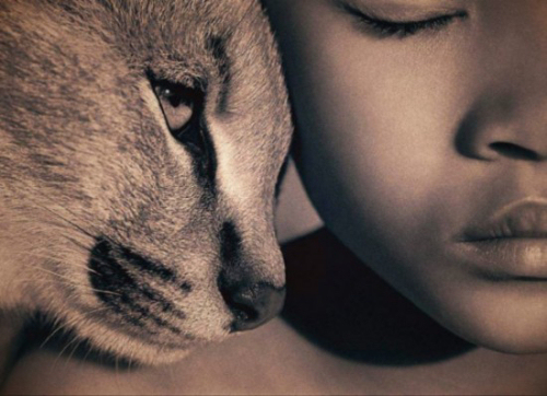 reiki dogs